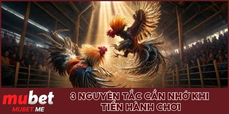 3 nguyên tắc cần nhớ khi tiến hành chơi