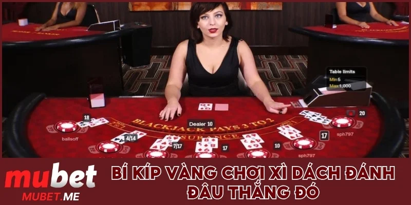 Bí kíp vàng chơi Xì Dách đánh đâu thắng đó