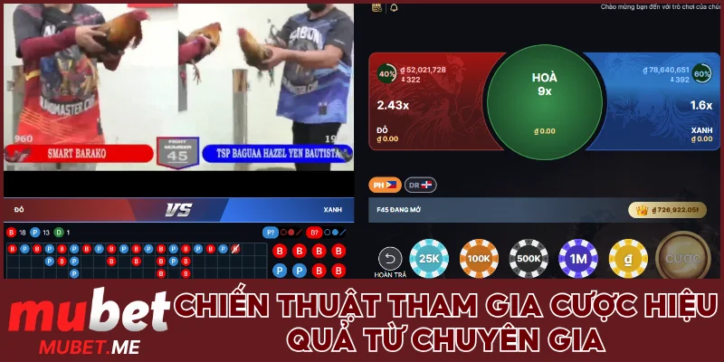 Chiến thuật tham gia cược hiệu quả từ chuyên gia