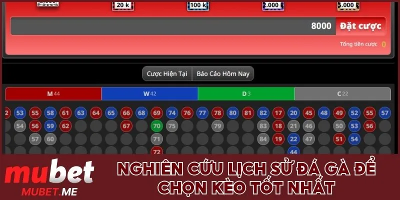 Xem lịch sử kết quả để chọn kèo cược tốt nhất